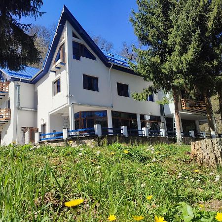 Hotel Parc Geoagiu Băi Eksteriør bilde