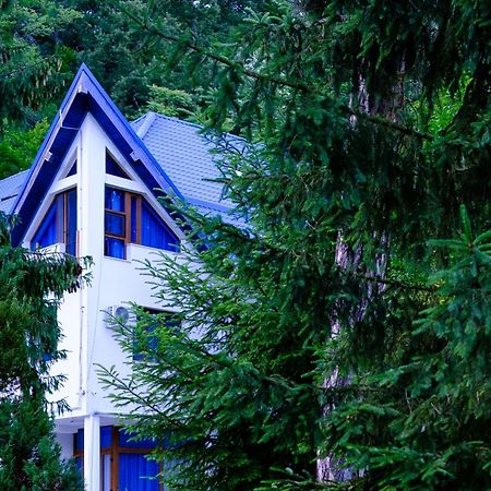 Hotel Parc Geoagiu Băi Eksteriør bilde