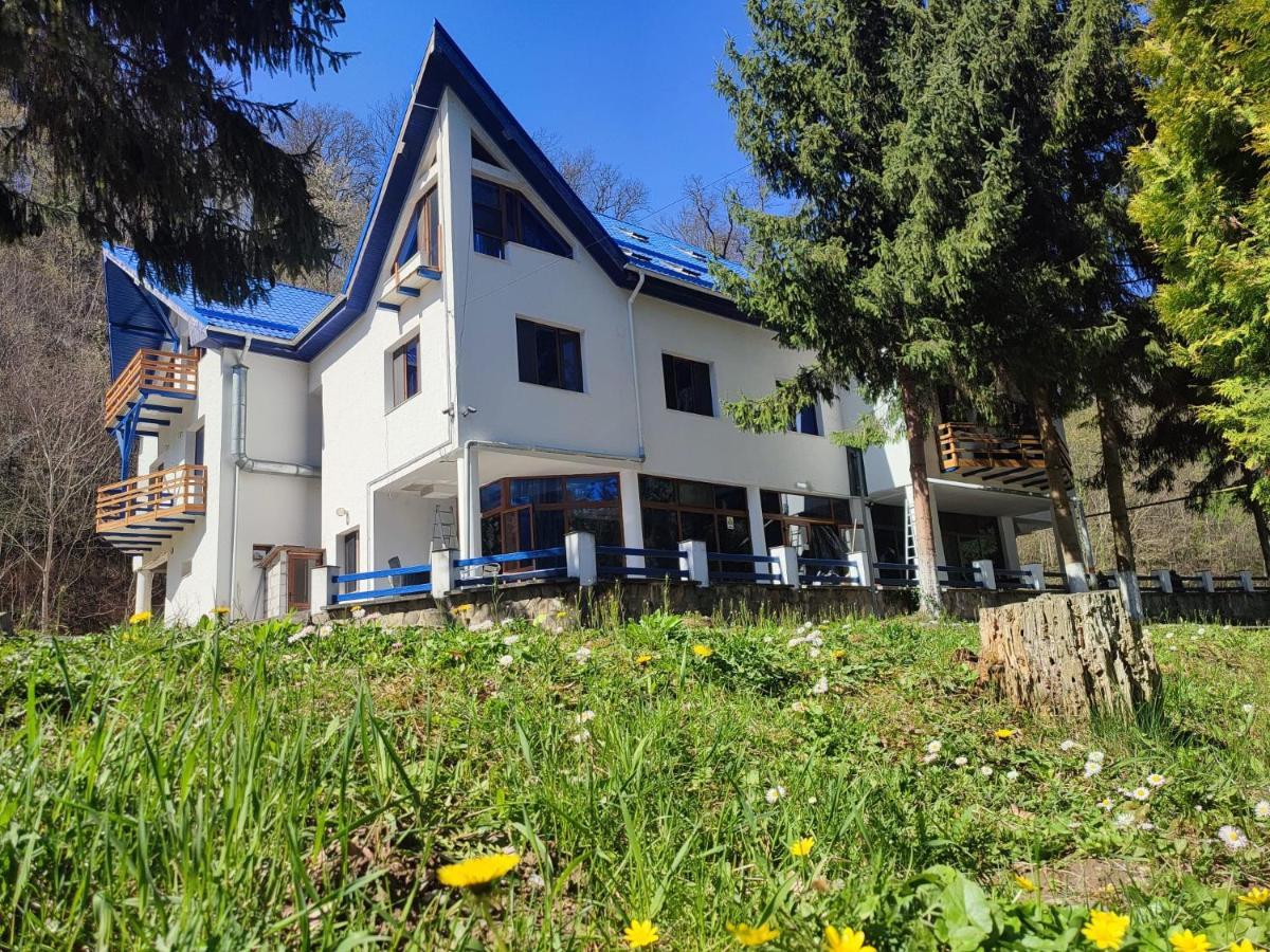 Hotel Parc Geoagiu Băi Eksteriør bilde