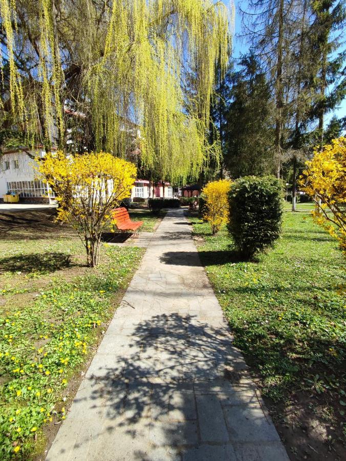 Hotel Parc Geoagiu Băi Eksteriør bilde