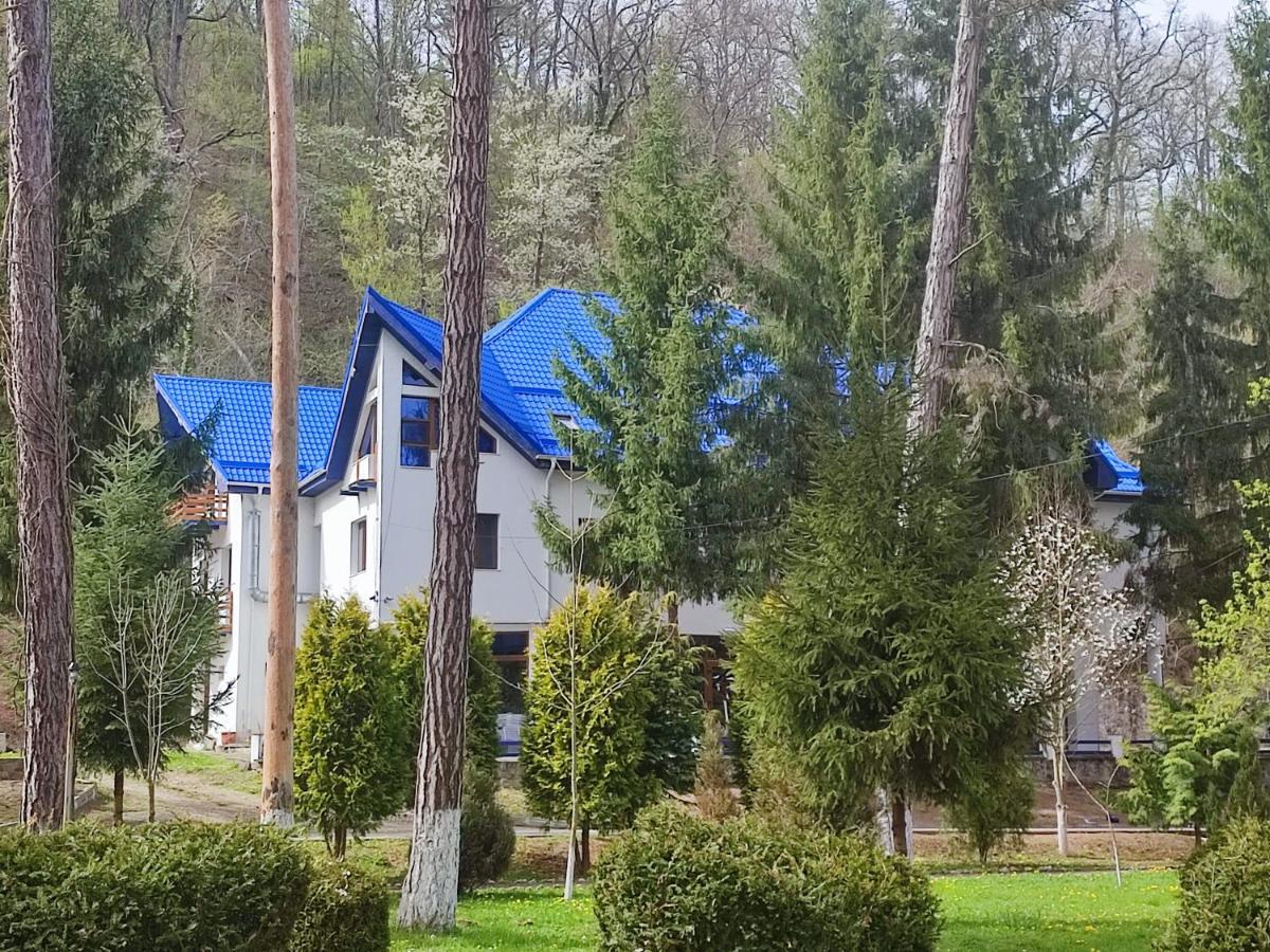 Hotel Parc Geoagiu Băi Eksteriør bilde