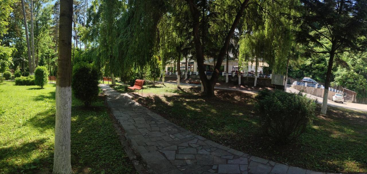 Hotel Parc Geoagiu Băi Eksteriør bilde