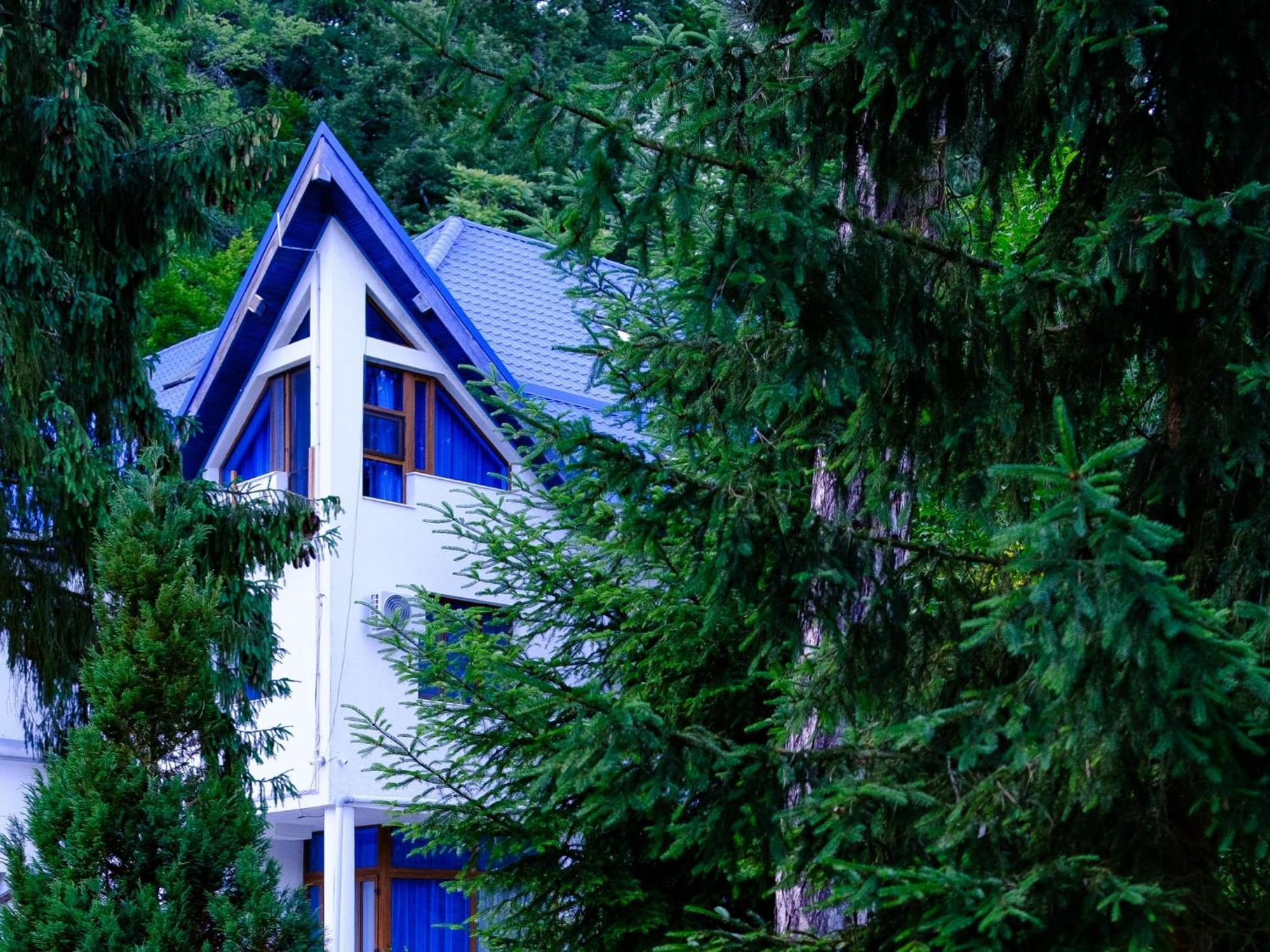 Hotel Parc Geoagiu Băi Eksteriør bilde